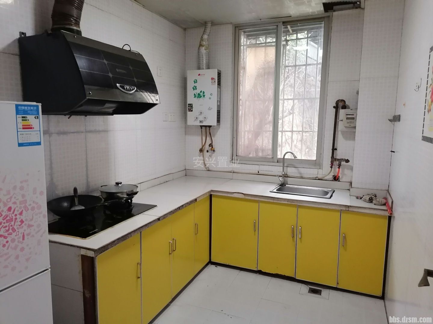 ����С���� 800 �� ����.jpg