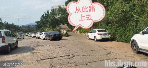IMG_20220716_140938.jpg