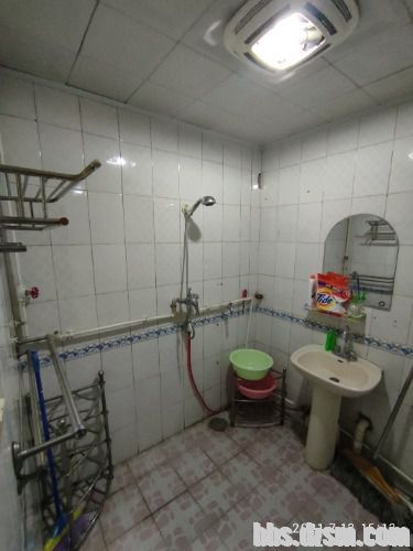 153727evmmlooow8dwo82m.jpg