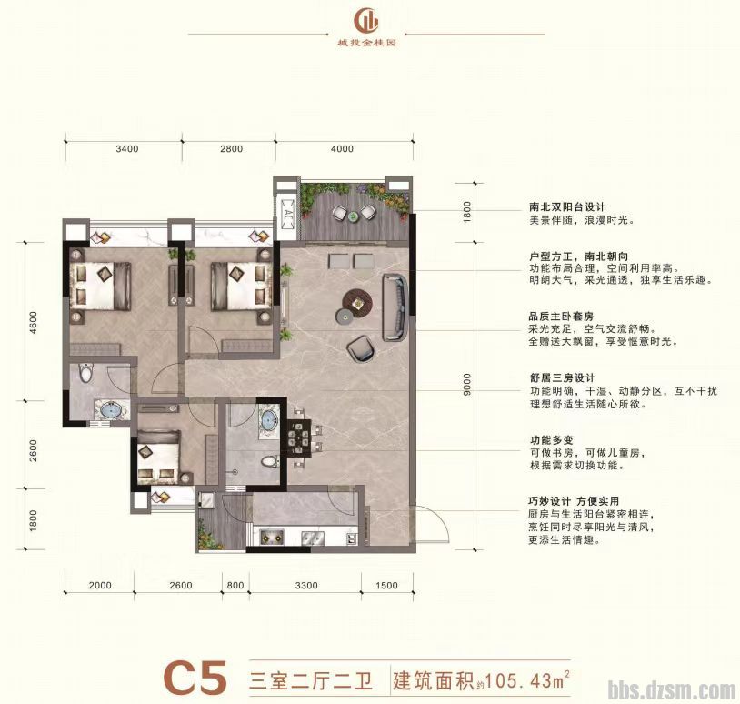 C5 105.43.jpg
