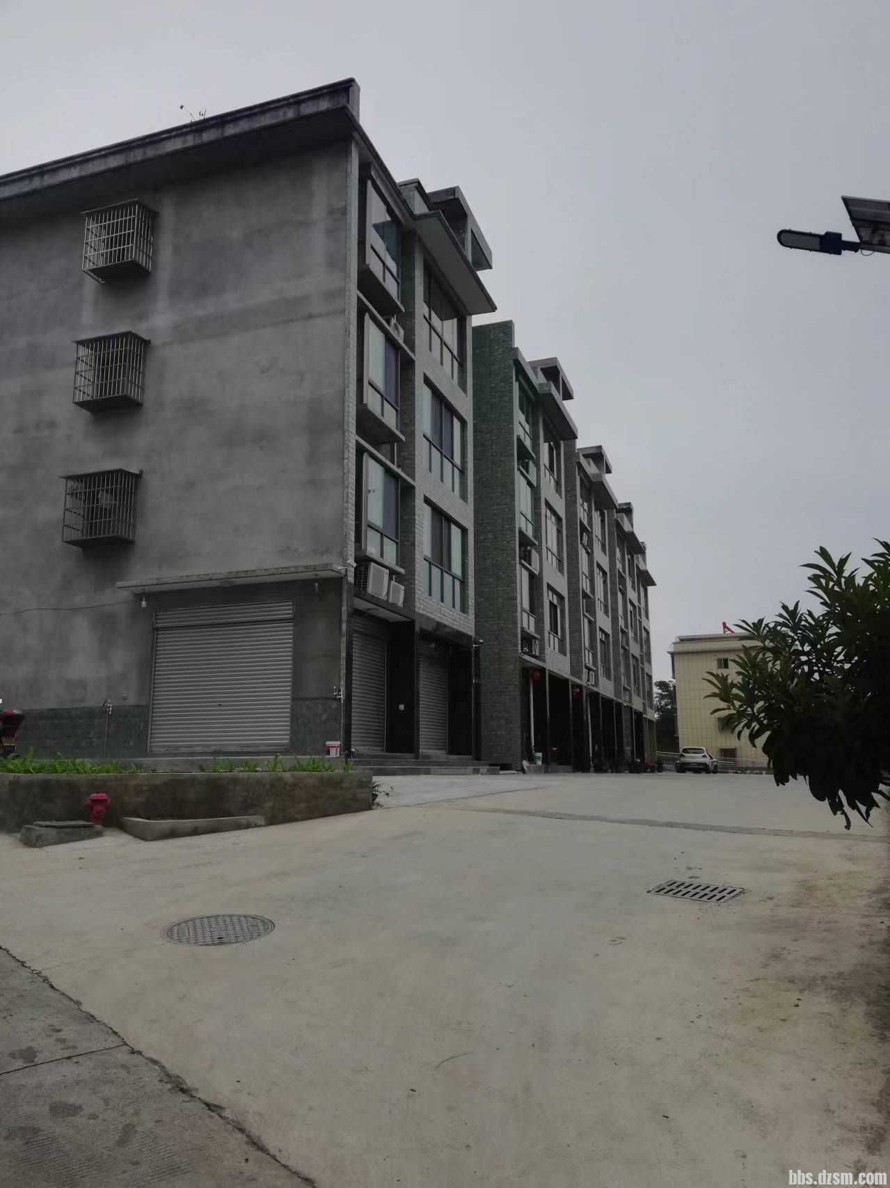Զ��