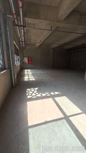 IMG20240320113324.jpg