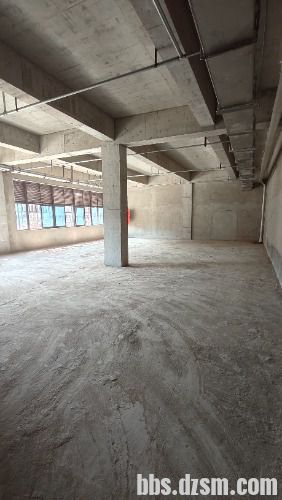 IMG20240320113351.jpg