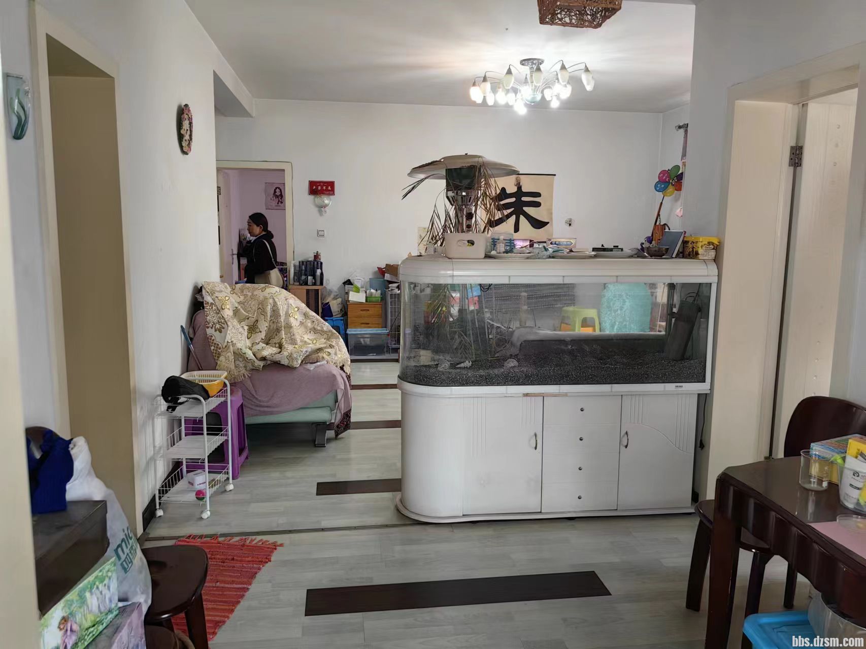 ΢��ͼƬ_20240401135858.jpg