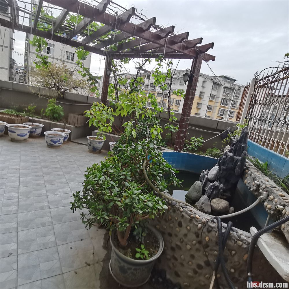 dda4e256b95523f98b5627f7106f8b1.jpg