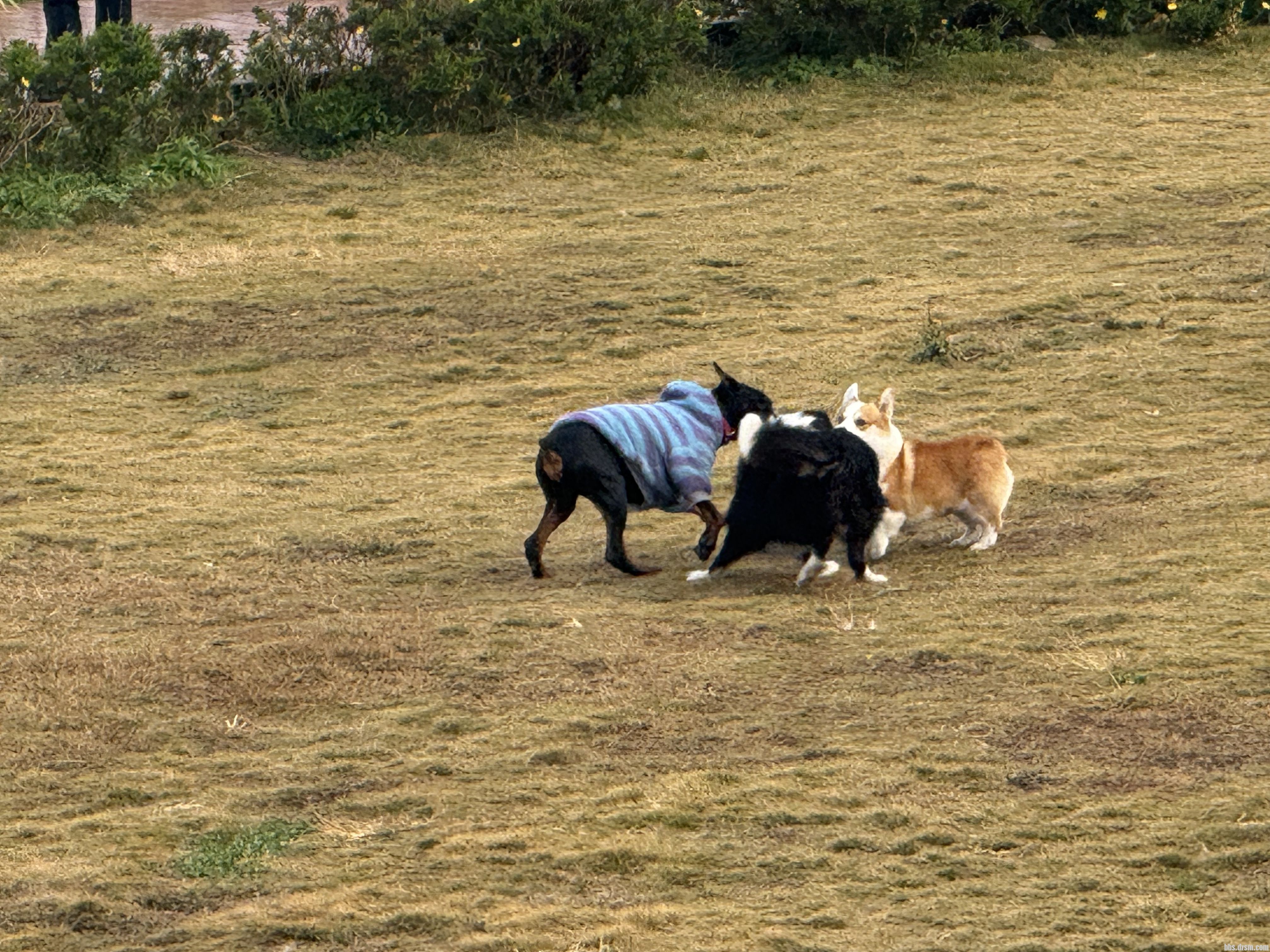 ϳǱ·ӱ߲ƺзŹģӰ˰ȫ