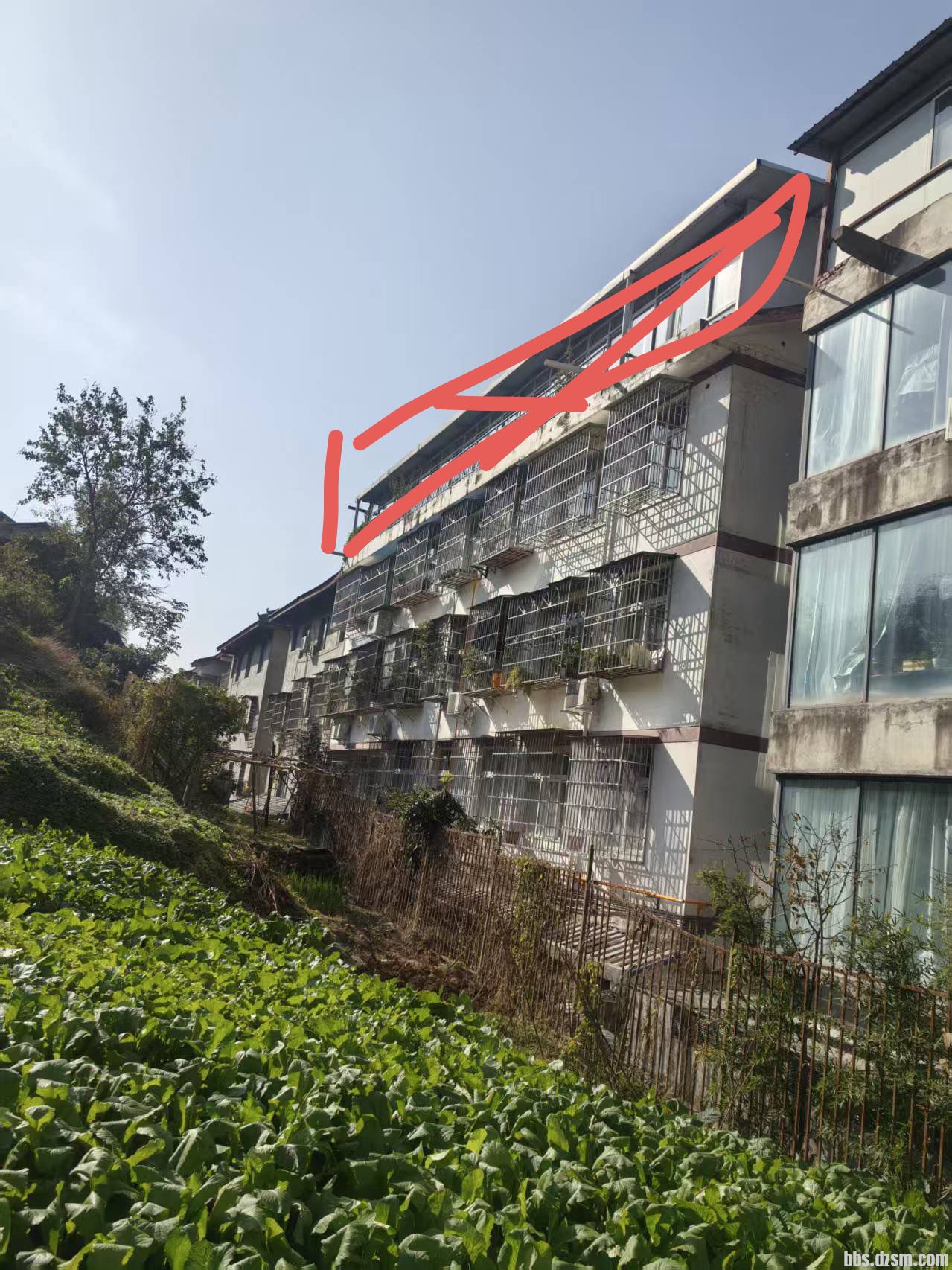 Υ����㶥��ȼ�ʸ���