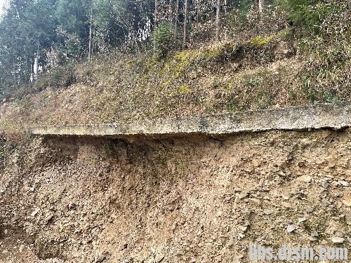 ��·�������