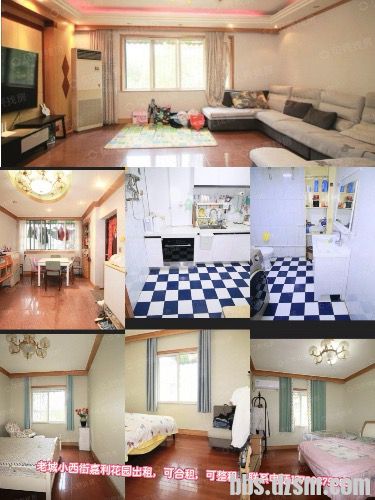 ���ݳ���