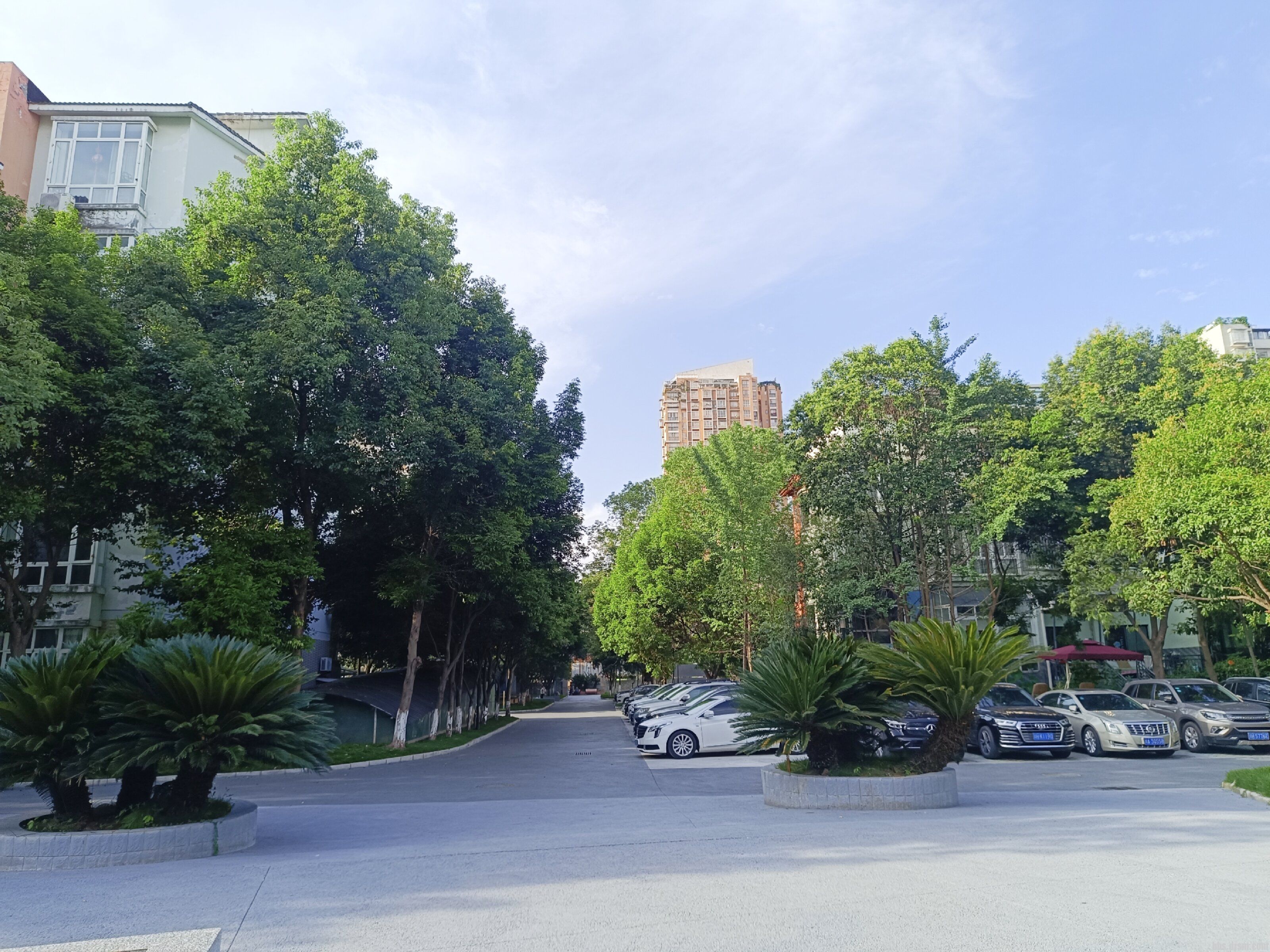 ΢��ͼƬ_20251218113804_5_8.jpg