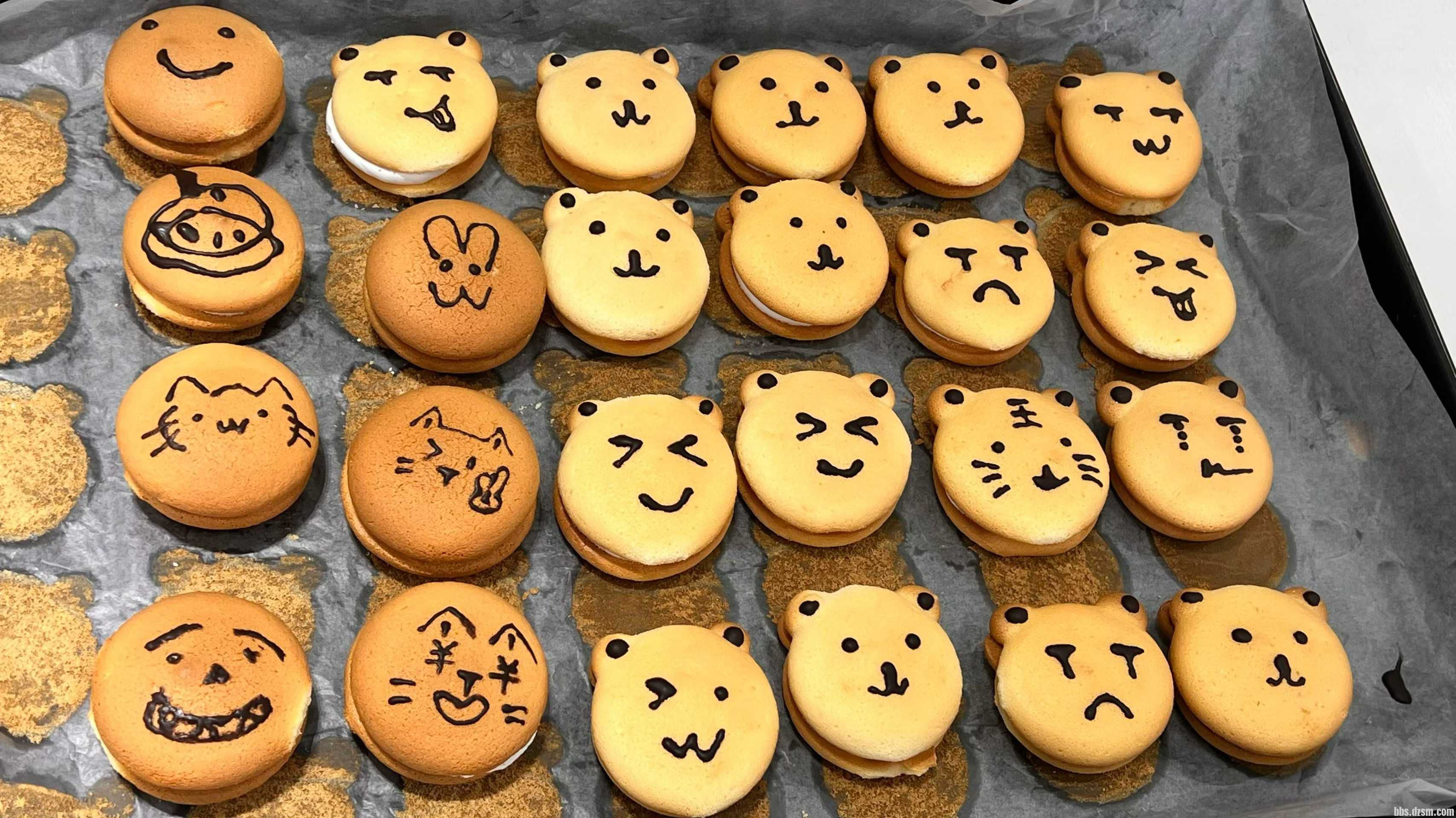 �������� �����ѵ ���ڰ���