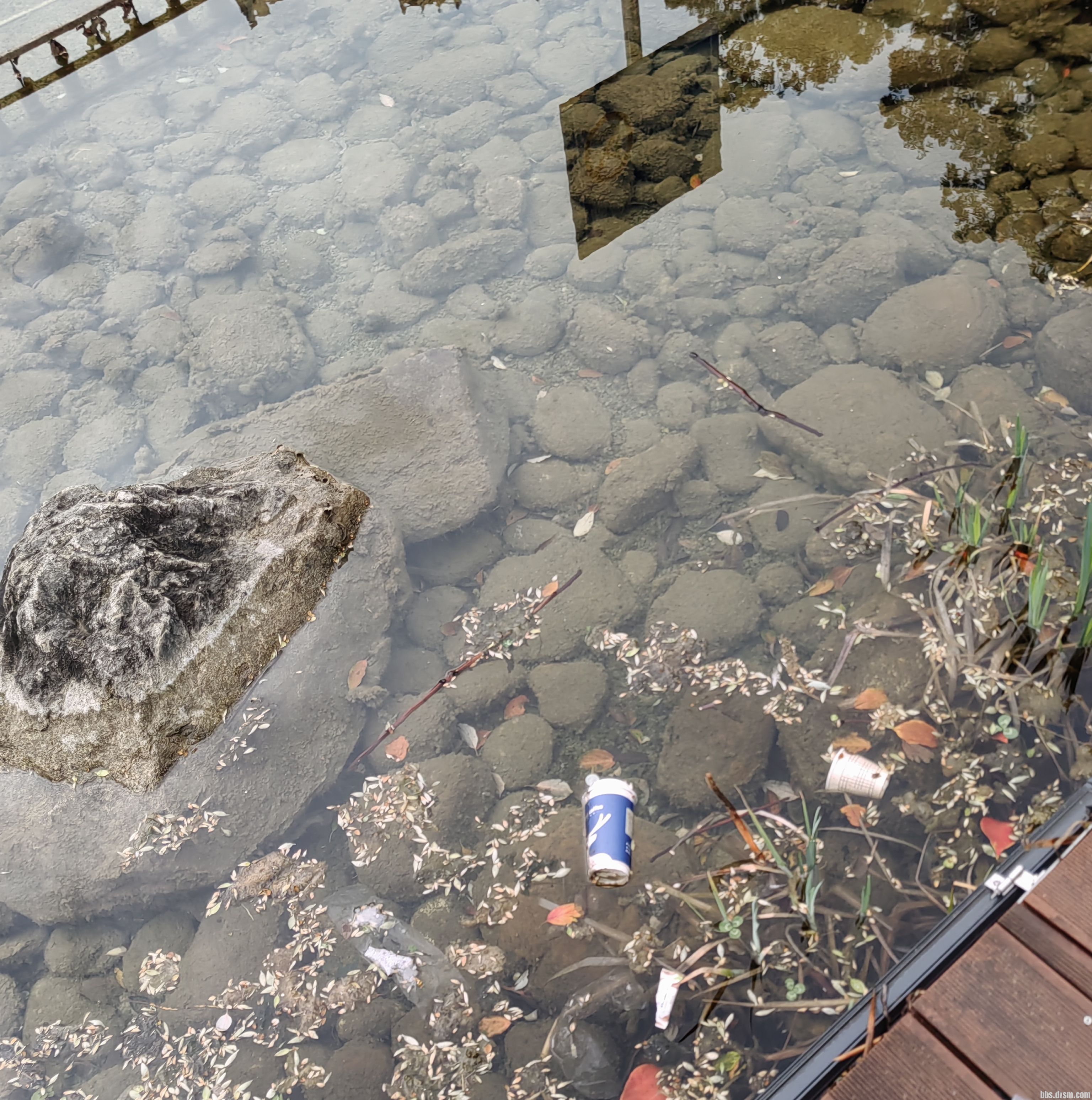 �����������̫���ˣ�û�˹���ô��