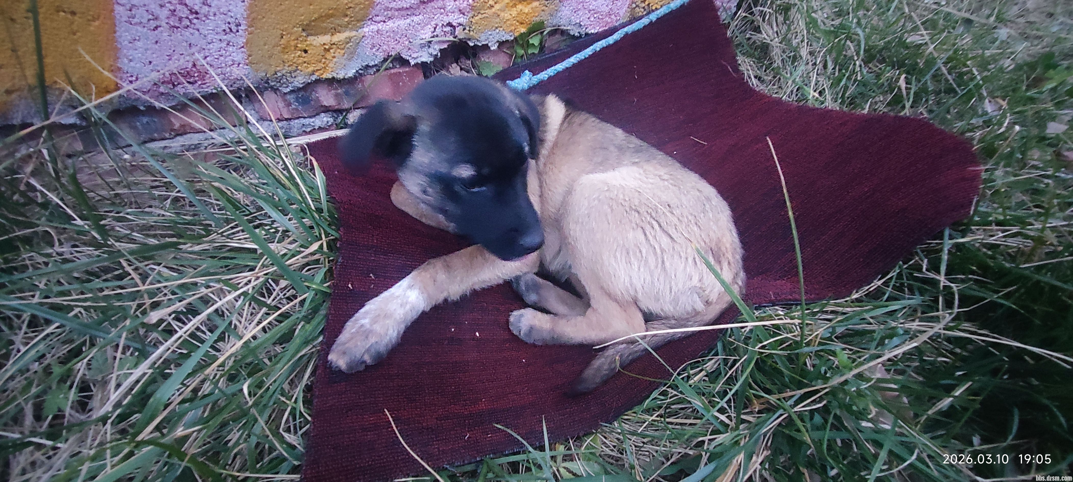 ������;֮���ӱ�͵