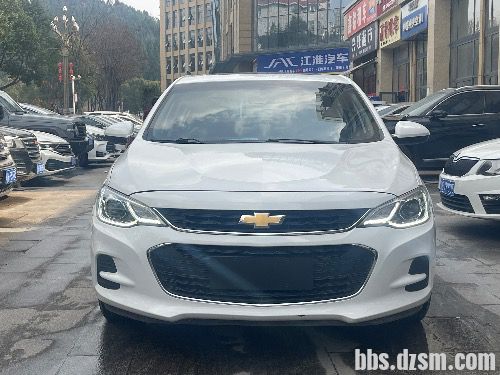 ���������Զ���