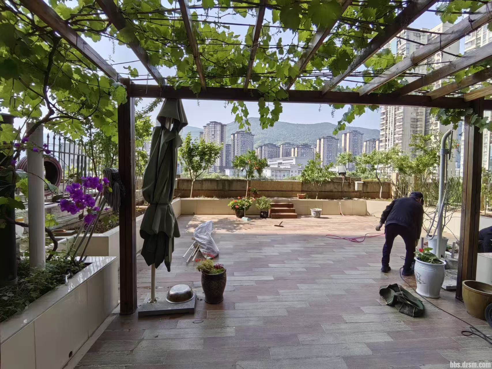 ��������齫��