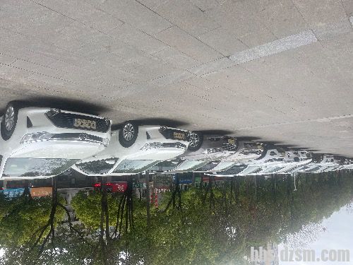 ���۸��ֶ��ֳ�