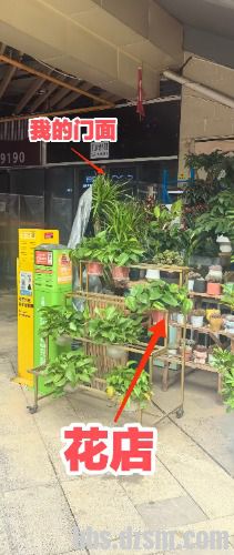 �Ҹ���˭άȨ��