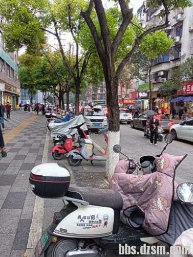 ��ӥСѧ�ſ�Υͣ