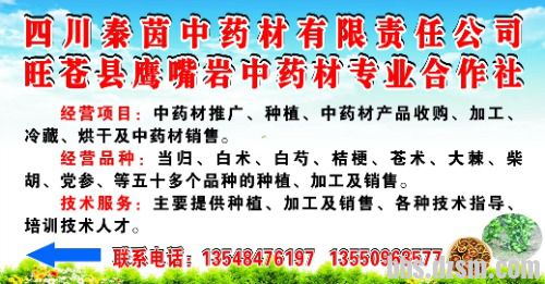mmexport1718970841407.jpg