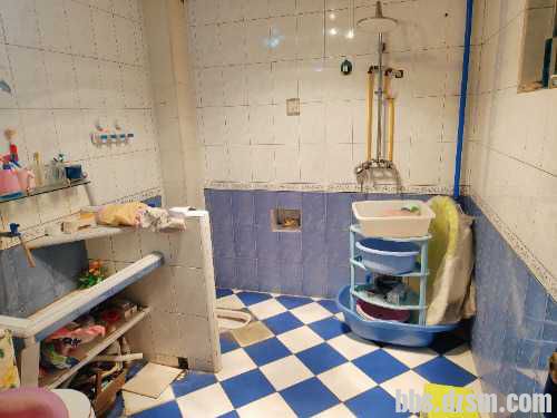 121527psq4dq4qnhsswzq2.jpg.thumb.jpg