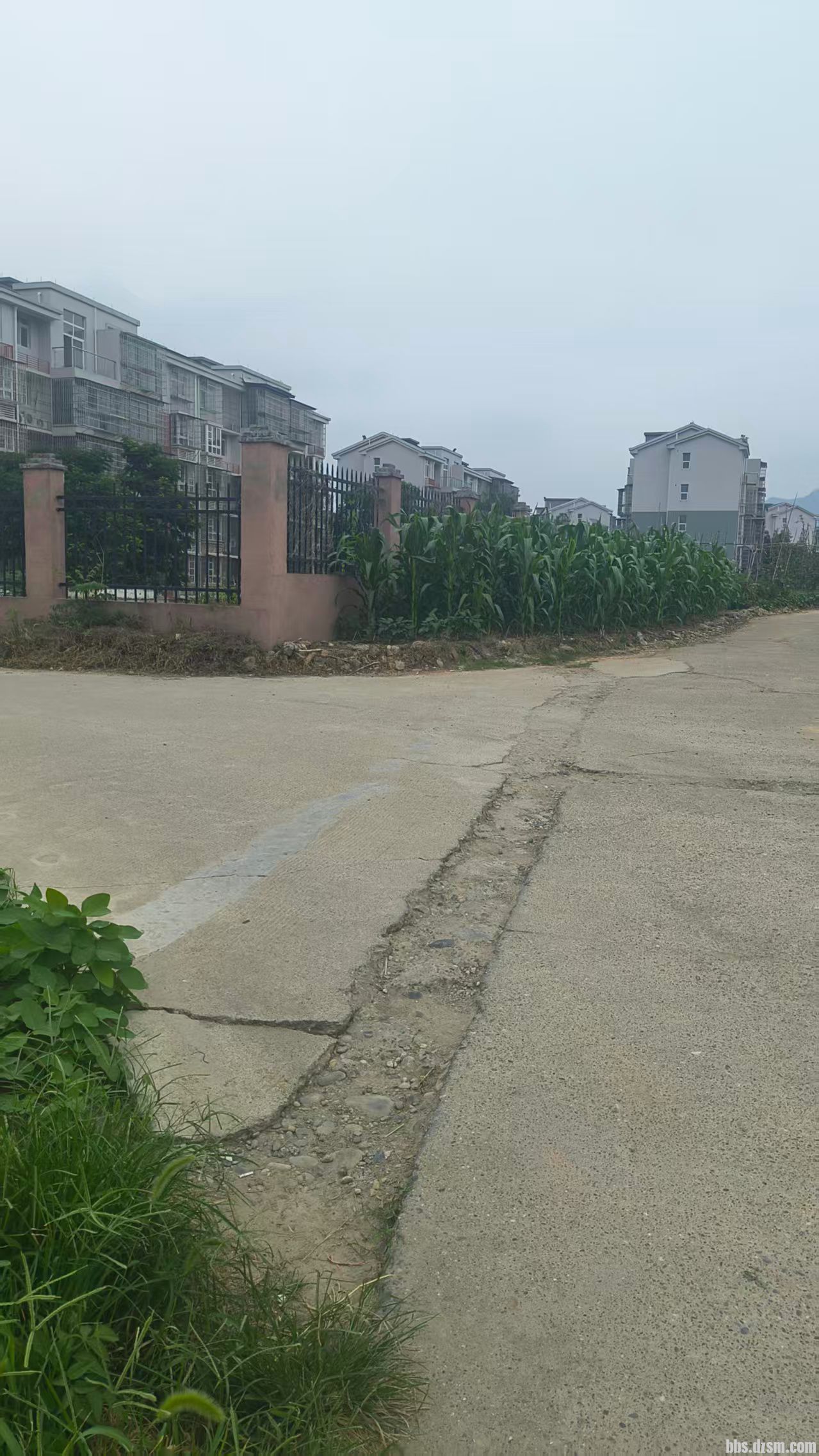 ΢��ͼƬ_20260702101219.jpg